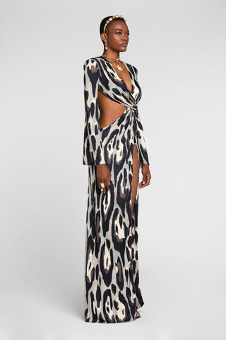 Roberto Cavalli Dress