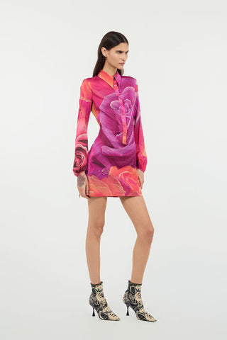 Roberto Cavalli Mini Dress With Garden Rose Print