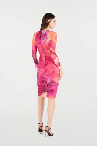 Roberto Cavalli Sheath Dress With Rose Print