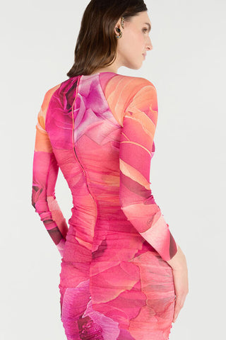 Roberto Cavalli Sheath Dress With Rose Print