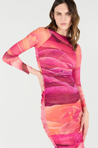 Roberto Cavalli Sheath Dress With Rose Print