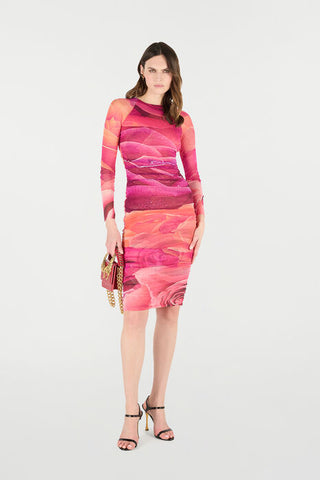 Roberto Cavalli Sheath Dress With Rose Print