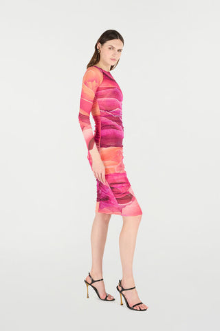 Roberto Cavalli Sheath Dress With Rose Print