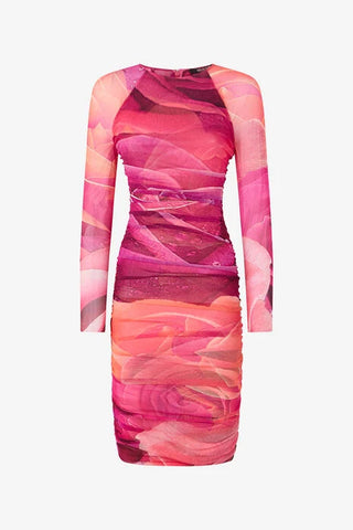 Roberto Cavalli Sheath Dress With Rose Print