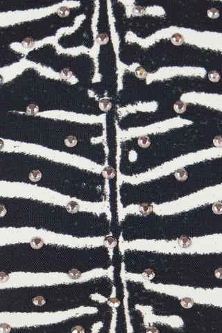 Roberto Cavalli Zebra-Print Bikini